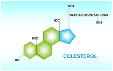 El Colesterol